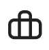 Padded Carrying Bag